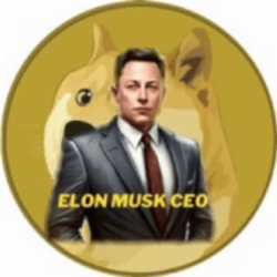 Elon Musk CEO logo