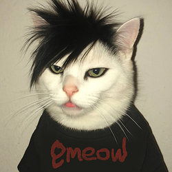 emeow logo