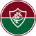 Fluminense FC Fan Token logo