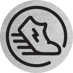 STEPN Green Satoshi Token on ETH logo