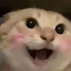 哈基米 (Hakimi) logo