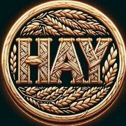 HayCoin logo