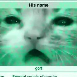 His name gort logo