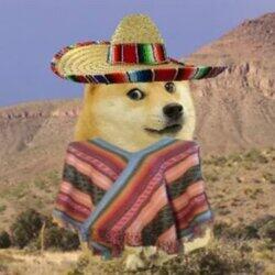 hispanic doge logo