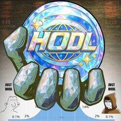 HODL Coin logo
