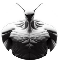 INSECT logo