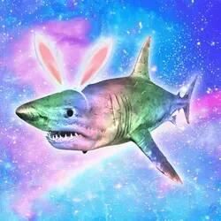 iridescent rabbit shark logo