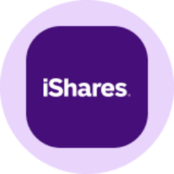 iShares Core MSCI Emerging Markets ETF (Ondo Tokenized ETF) logo