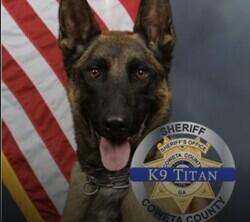 K-9 Killed in Shootout logo