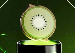 Kiwi logo