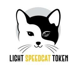 Light Speed Cat logo