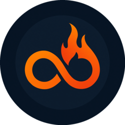 LoopBurn logo