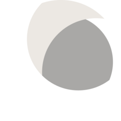 Lumi Finance LUA Option logo