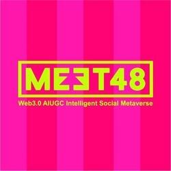 MEET48 logo
