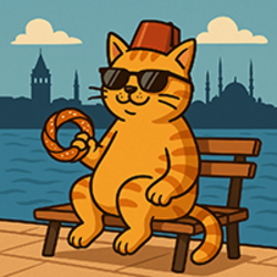 MeowIstanbul logo