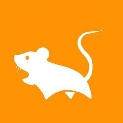 Mice (Ordinals) logo