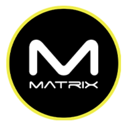 Mind Matrix logo