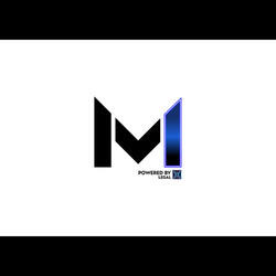 MLM X logo