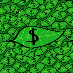 Monkey Currency logo