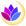 Moonwell Apollo logo