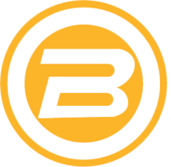 NanoMeter Bitcoin logo