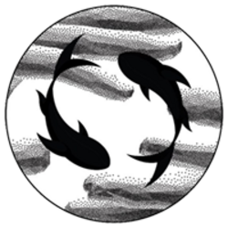 Nemo Sum logo