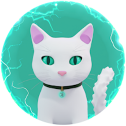 Nocha the Kat logo