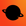 Nova Shield logo