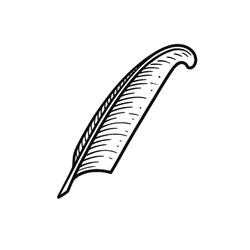 Nuance logo