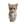 PHDKitty logo
