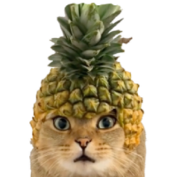 Pineapple Cat logo