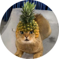 Pineapple Cat logo