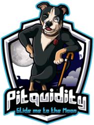 Pitquidity Capital logo