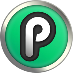 PlayChip logo
