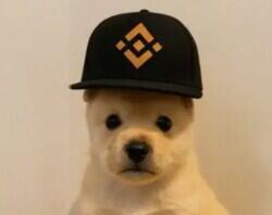 PUP logo