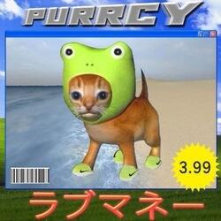 Purrcy logo