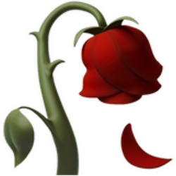 Rose logo