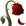 Rose logo
