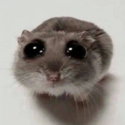 sad-hamster logo