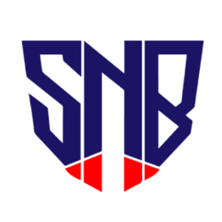 Safe Nebula logo