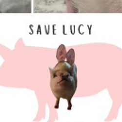 #savelucy logo