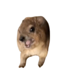 Screaming Hyrax logo