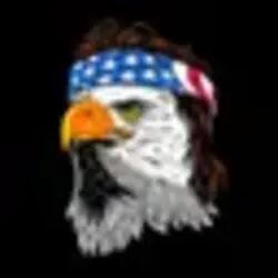 SEagle logo