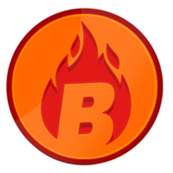 BURN logo