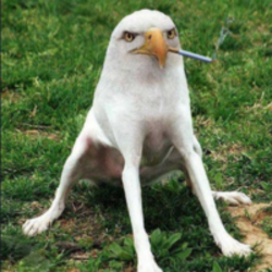 Smoking Eagle Dog logo