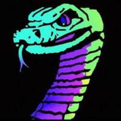 Snake Of Solana logo