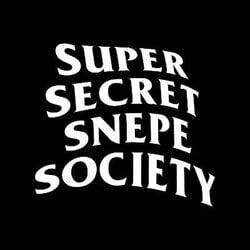 SNEPE logo