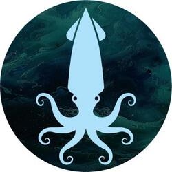 Squidswap logo