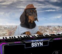 Syn Dog logo