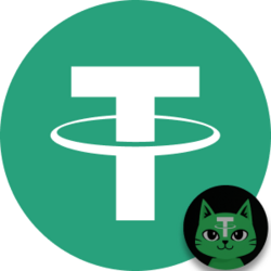 TetheCat Bridged USDT logo